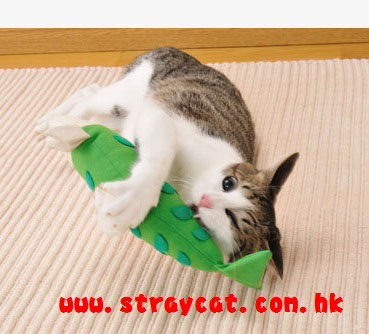 Petio貓草海洋玩具示範１