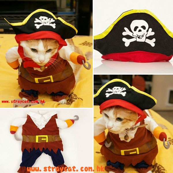 海盜寵物裝