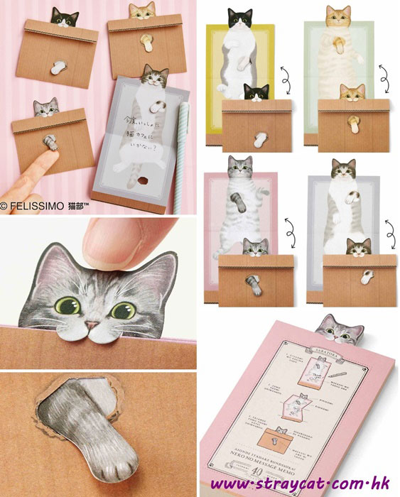 日本貓部紙箱貓memo