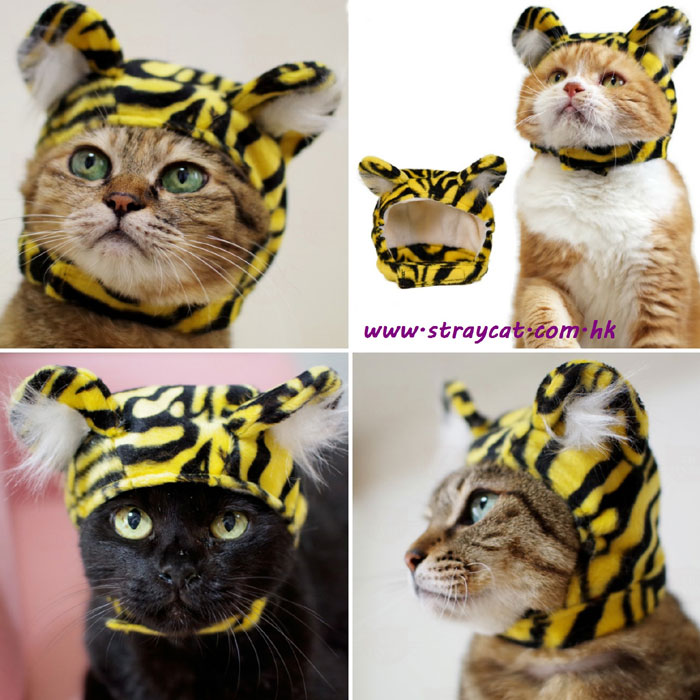 日本老虎寵物帽