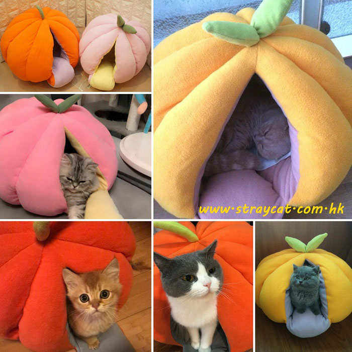 蔬果保暖貓窩