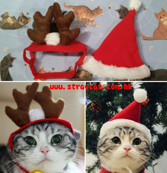 寵物聖誕帽及寵物鹿角帽