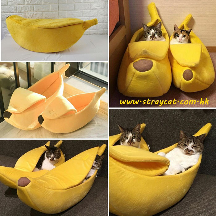 香蕉貓窩