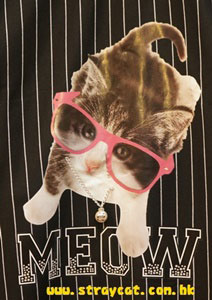 Meow眼鏡貓衫１的圖案