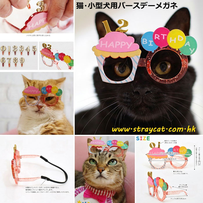 日本LifeLike寵物生日派對眼鏡