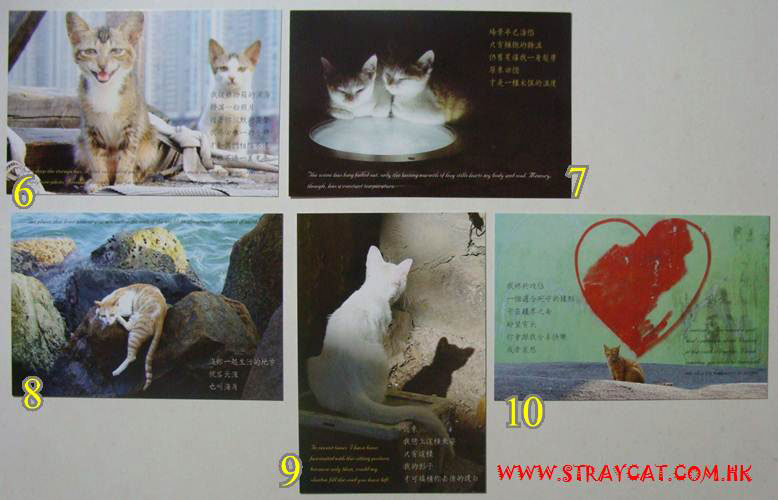 假如忘了愛貓貓Postcard(款式6至10)