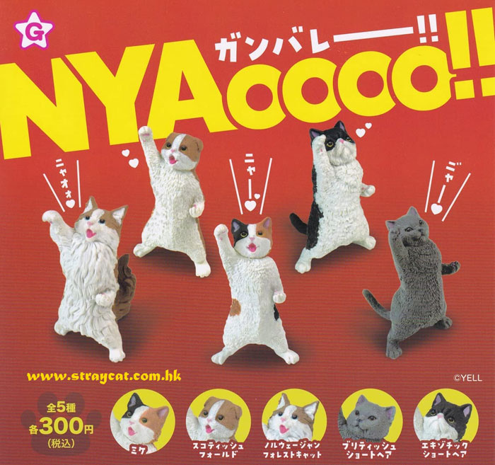 日本Nyaoooo!!加油貓扭蛋