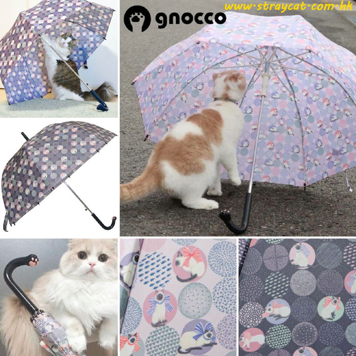 日本gnocoo暹羅貓傘