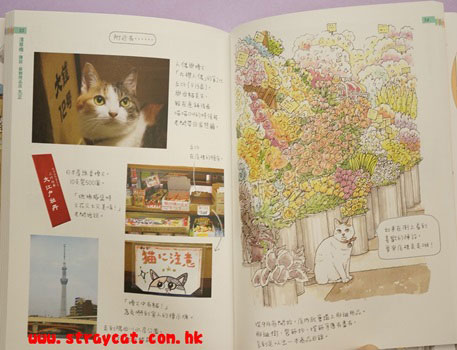 尋訪東京巷弄裡的看板貓的內文２
