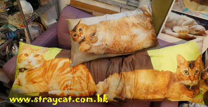 來相訂造貓枕頭與來相訂造貓長咕臣