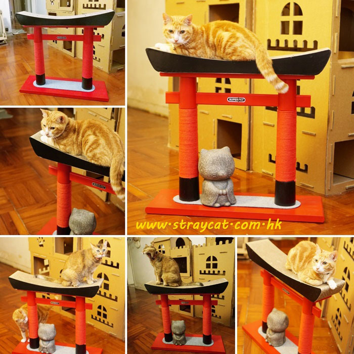 日式鳥居貓抓台