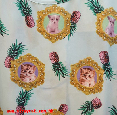 菠蘿小貓衫１的圖案