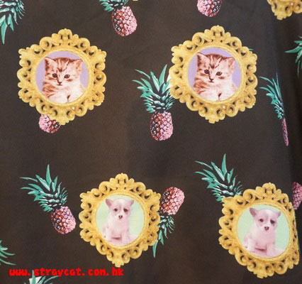 菠蘿小貓衫２的圖案
