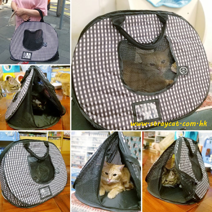 日本貓壹摺合寵物袋經冰糖、旋風及流星實試，超好用。