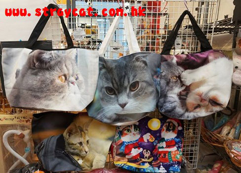 客人訂造的來相訂造貓貓上膊大袋１