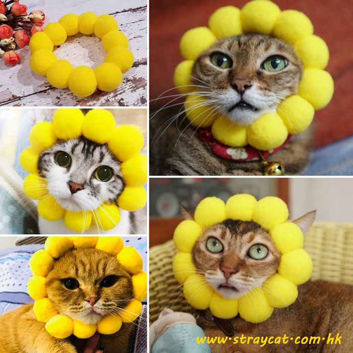 太陽花寵物頭套