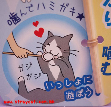 日本PetRoute潔齒磨牙玩具３