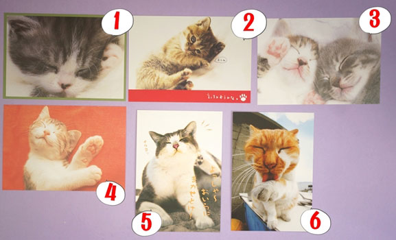 日本可愛貓貓明信片